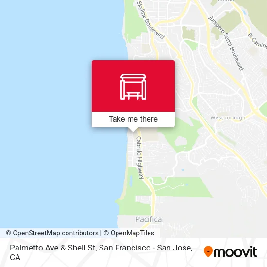 Palmetto Ave & Shell St map