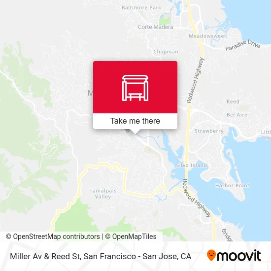 Miller Av & Reed St map
