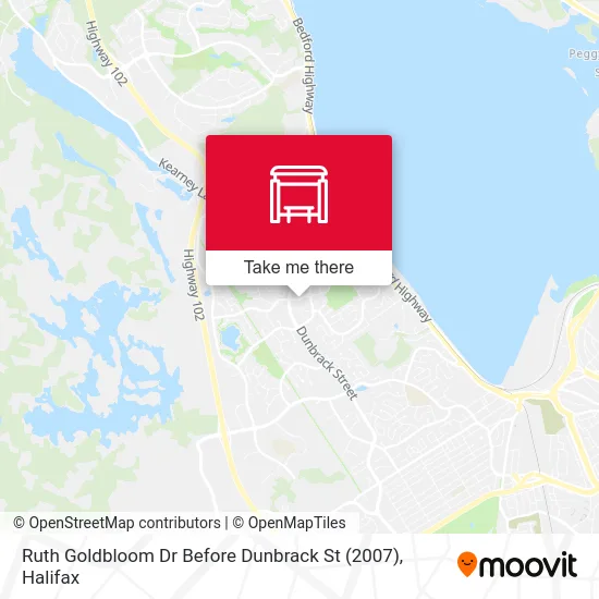 Ruth Goldbloom Dr Before Dunbrack St (2007) map