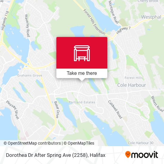 Dorothea Dr After Spring Ave (2258) map