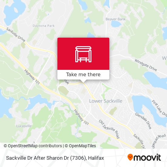 Sackville Dr After Sharon Dr (7306) map