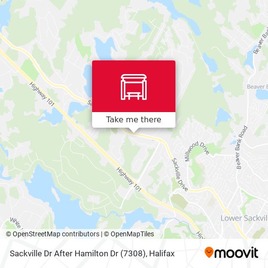 Sackville Dr After Hamilton Dr (7308) map
