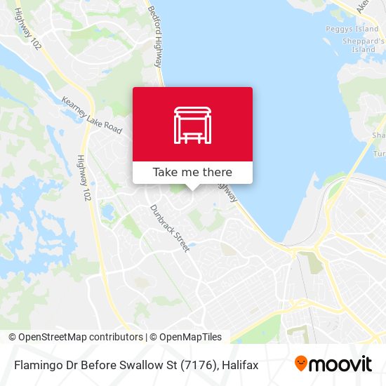 Flamingo Dr Before Swallow St (7176) map