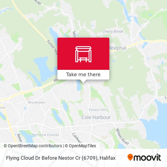 Flying Cloud Dr Before Nestor Cr (6709) map