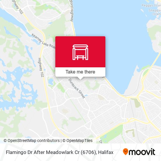 Flamingo Dr After Meadowlark Cr (6706) map