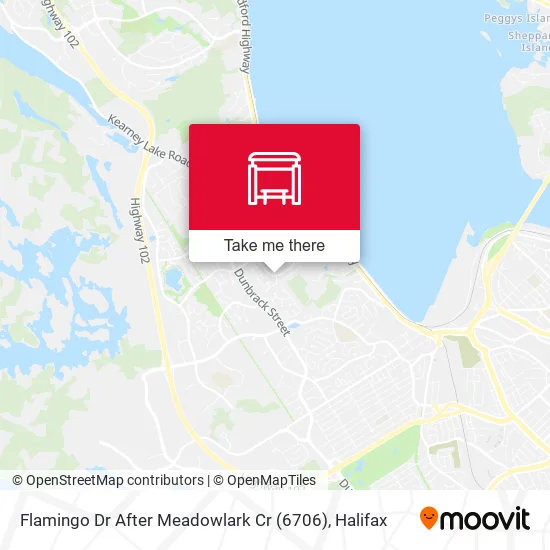 Flamingo Dr After Meadowlark Cr (6706) map