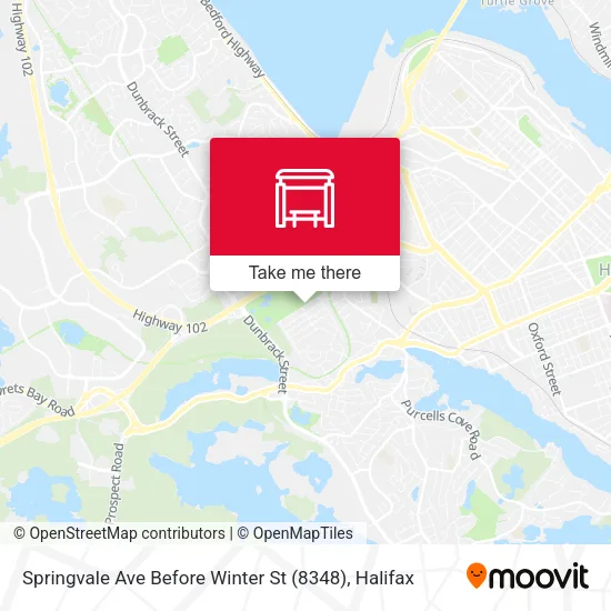 Springvale Ave Before Winter St (8348) map