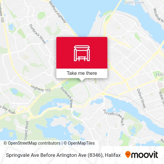 Springvale Ave Before Arlington Ave (8346) map