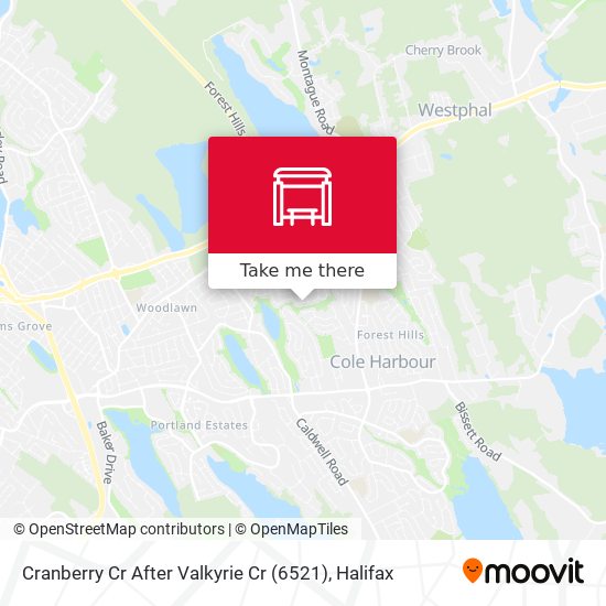Cranberry Cr After Valkyrie Cr (6521) map