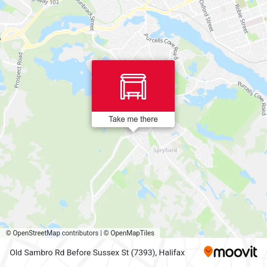 Old Sambro Rd Before Sussex St (7393) map