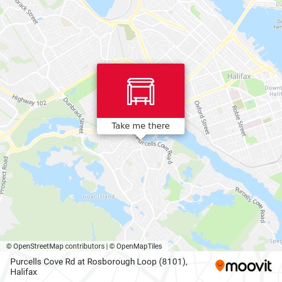 Purcells Cove Rd at Rosborough Loop (8101) map