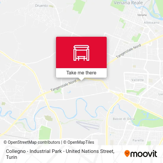 Collegno - Industrial Park - United Nations Street map