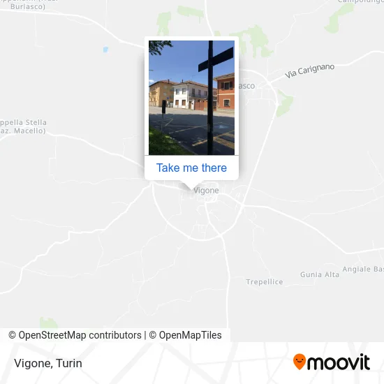 Vigone map