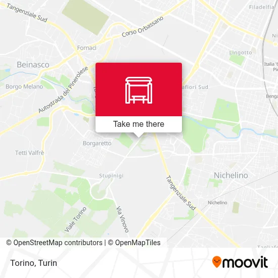 Torino map