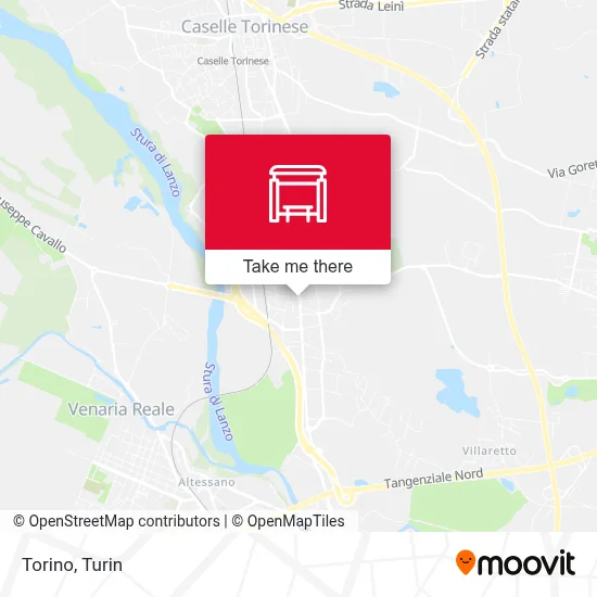 Torino map
