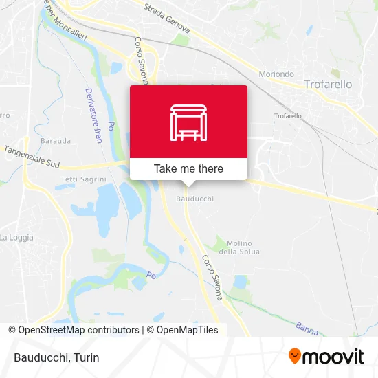 Bauducchi map