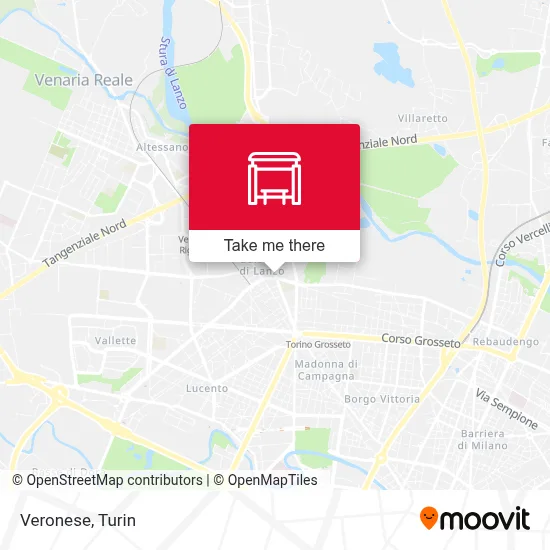 Veronese map