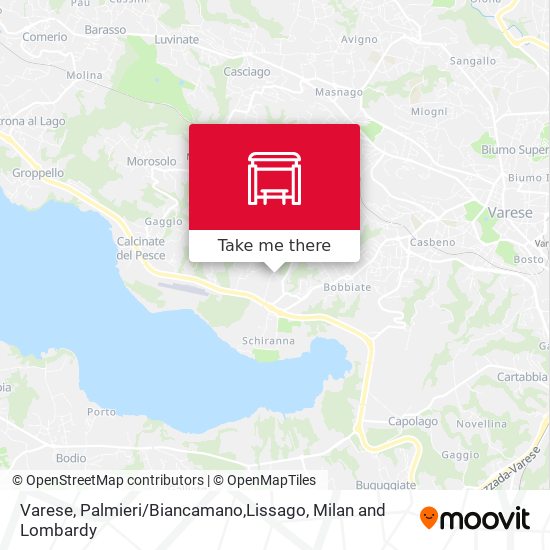 Varese, Palmieri / Biancamano,Lissago map