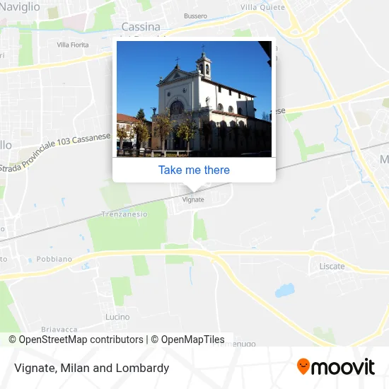 Vignate map