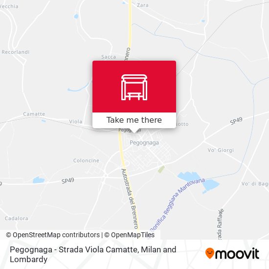 Pegognaga - Strada Viola Camatte map