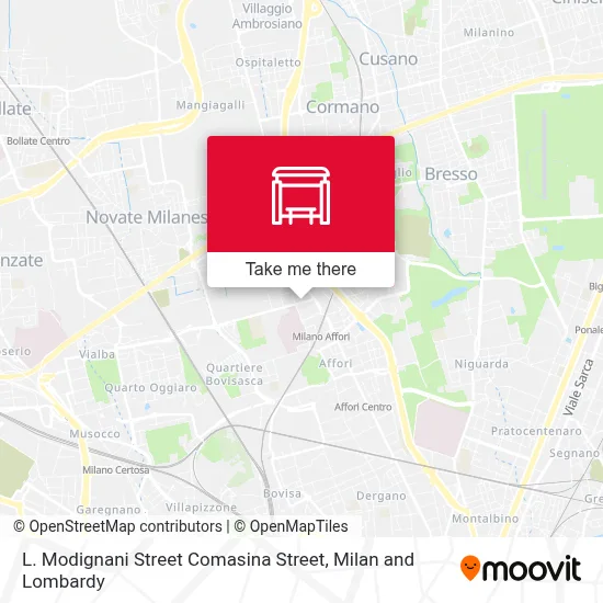 L. Modignani Street Comasina Street map
