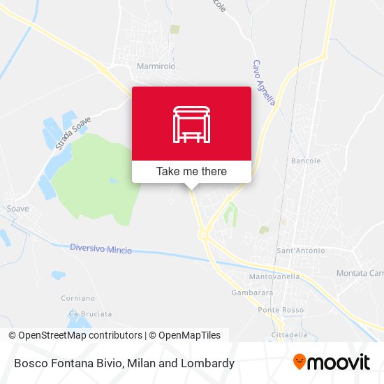 Bosco Fontana Bivio map