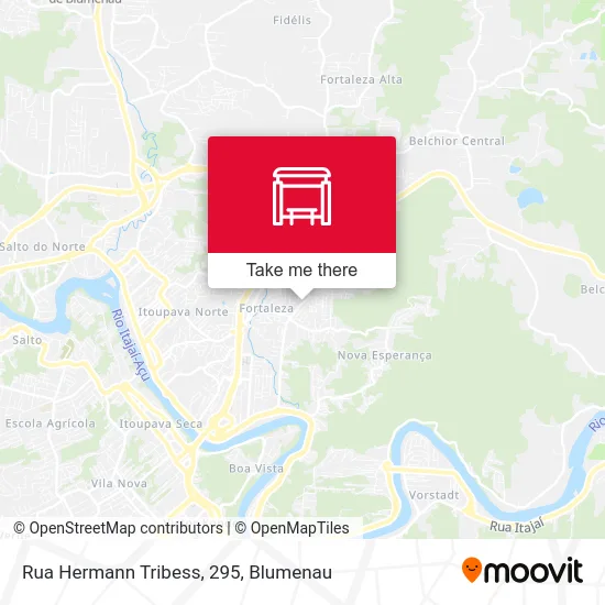 Rua Hermann Tribess, 295 map