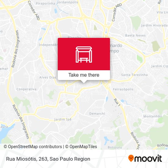 Rua Miosótis, 263 map