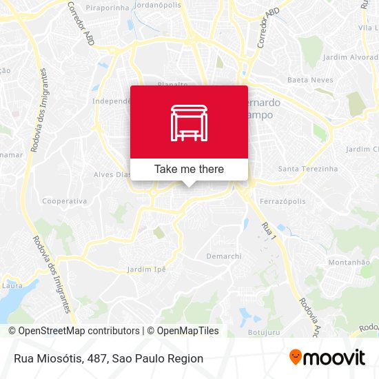 Rua Miosótis, 487 map