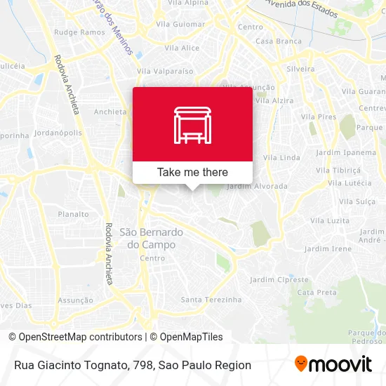 Rua Giacinto Tognato, 798 map
