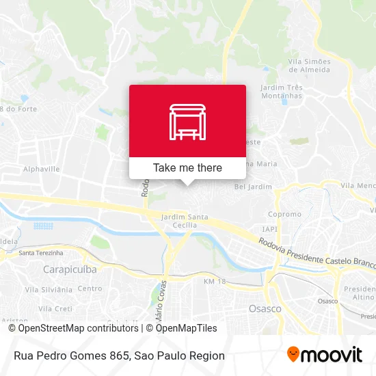 Rua Pedro Gomes 865 map
