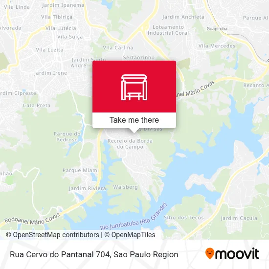 Rua Cervo do Pantanal 704 map