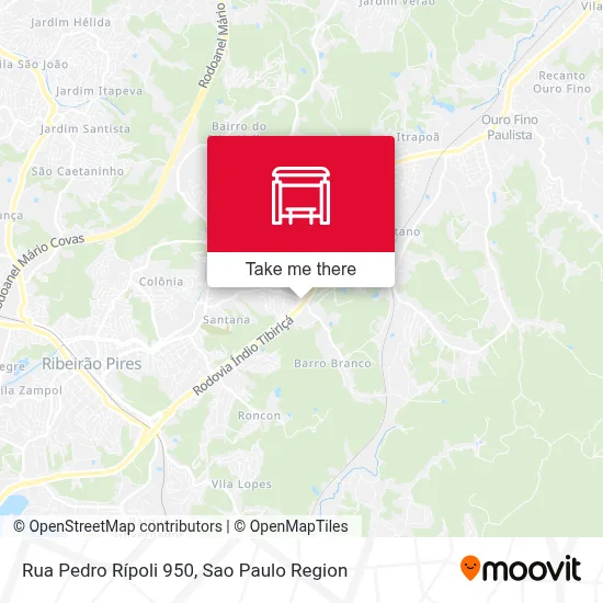 Rua Pedro Rípoli 950 map