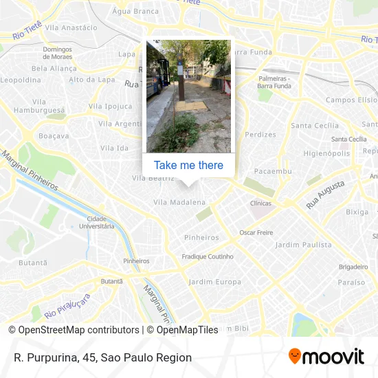 R. Purpurina, 45 map