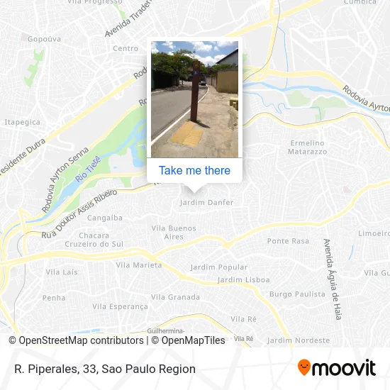 R. Piperales, 33 map