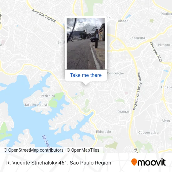 R. Vicente Strichalsky 461 map