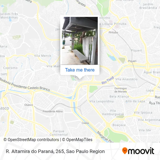 R. Altamira do Paraná, 265 map