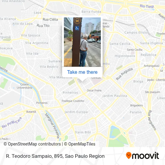 R. Teodoro Sampaio, 895 map