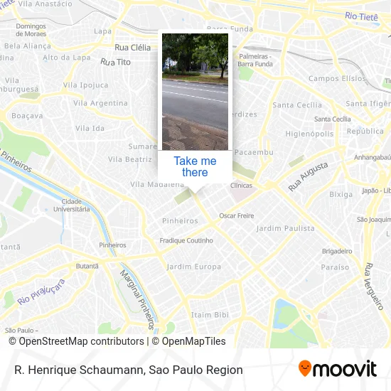 R. Henrique Schaumann map