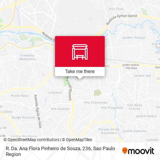 R. Da. Ana Flora Pinheiro de Souza, 236 map
