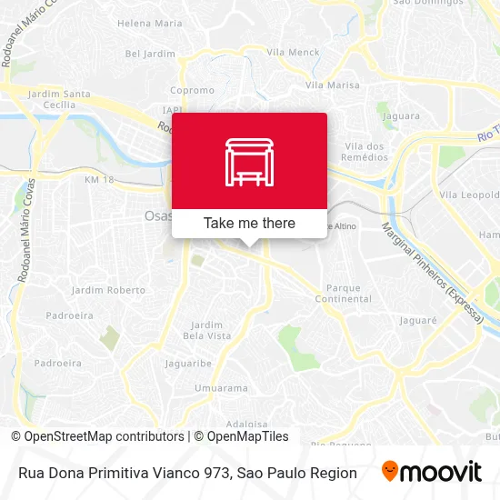 Rua Dona Primitiva Vianco 973 map