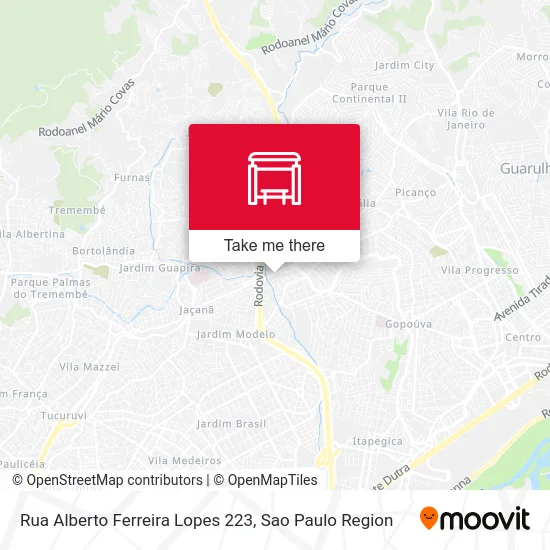 Rua Alberto Ferreira Lopes 223 map
