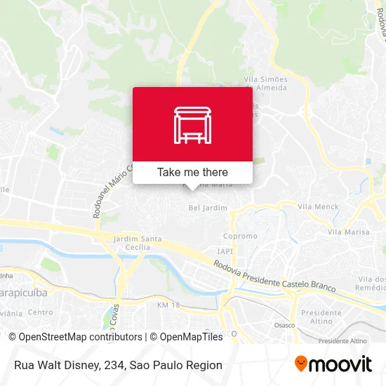 Rua Walt Disney, 234 map