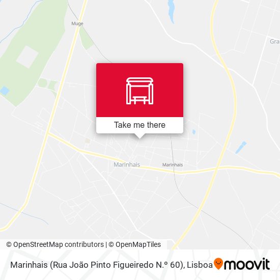 Marinhais (Rua João Pinto Figueiredo N.º 60) mapa