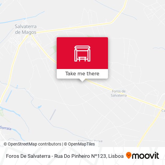 Foros De Salvaterra - Rua Do Pinheiro Nº123 mapa