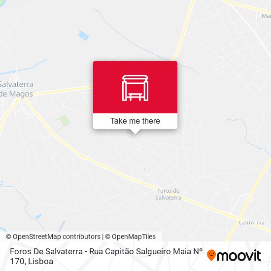 Foros De Salvaterra - Rua Capitão Salgueiro Maia Nº 170 map