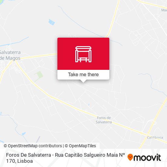 Foros De Salvaterra - Rua Capitão Salgueiro Maia Nº 170 map