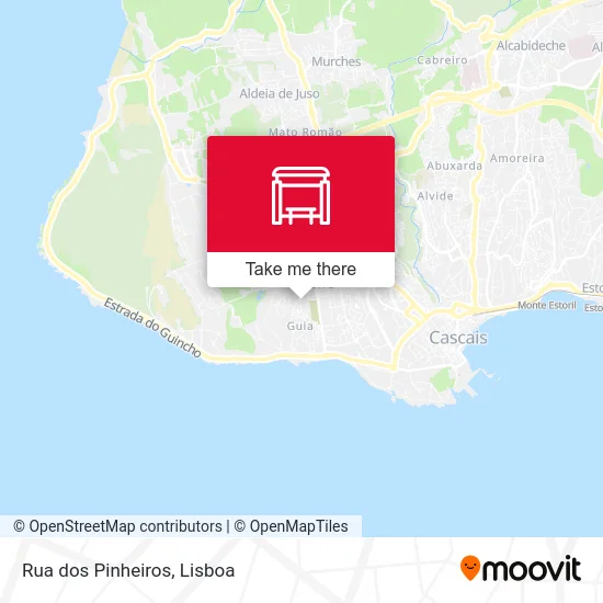 Rua dos Pinheiros map