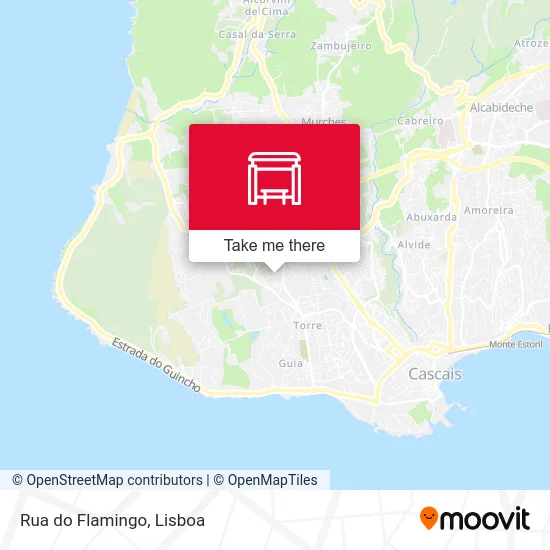 Rua do Flamingo map