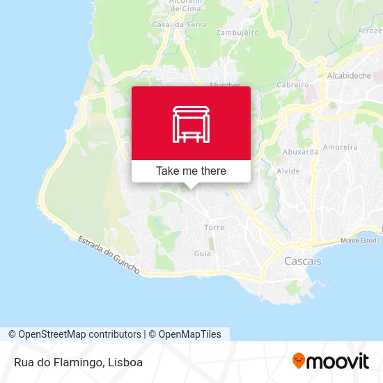 Rua do Flamingo map